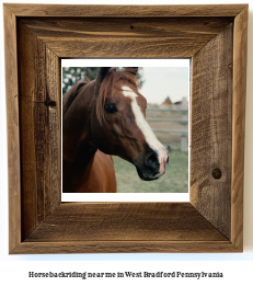 horseback riding near me in West Bradford, Pennsylvania